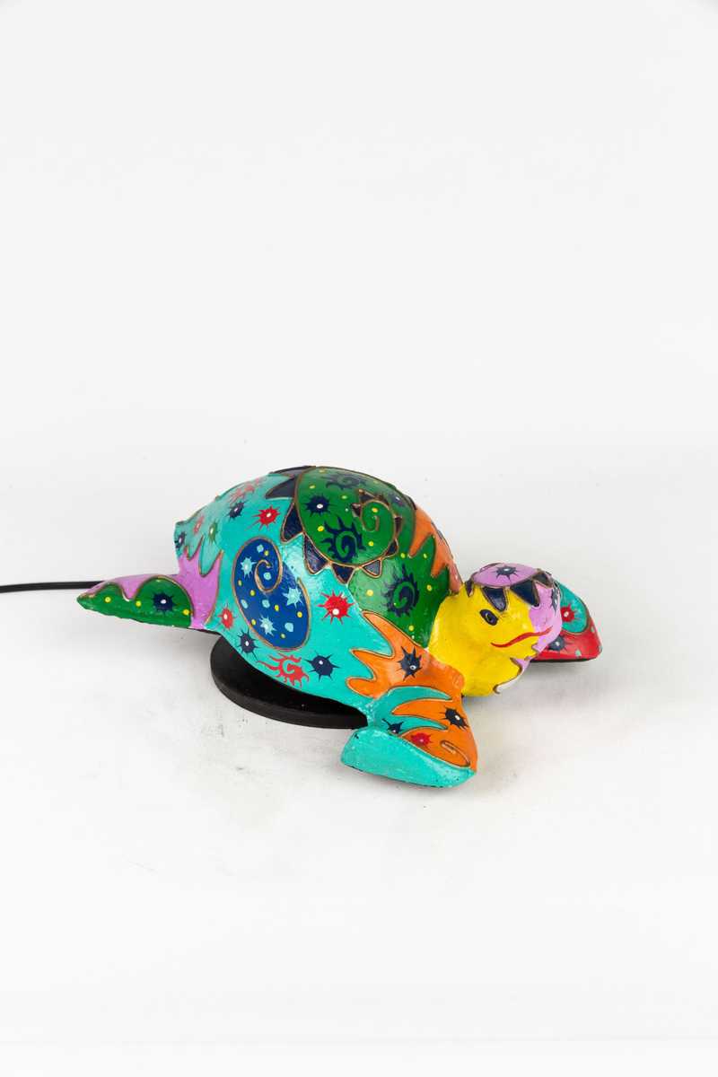 Lumino Turtle Kiddy