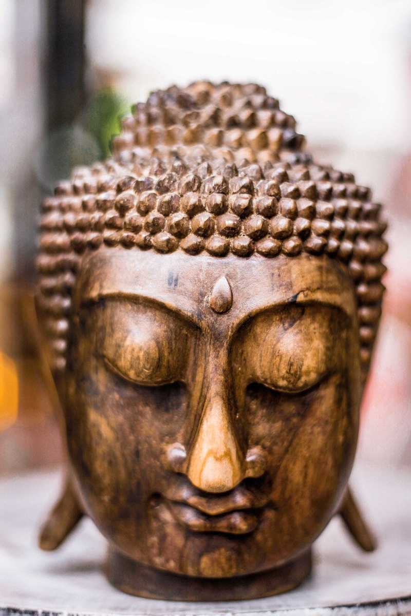 Buddha Head Hibiscus