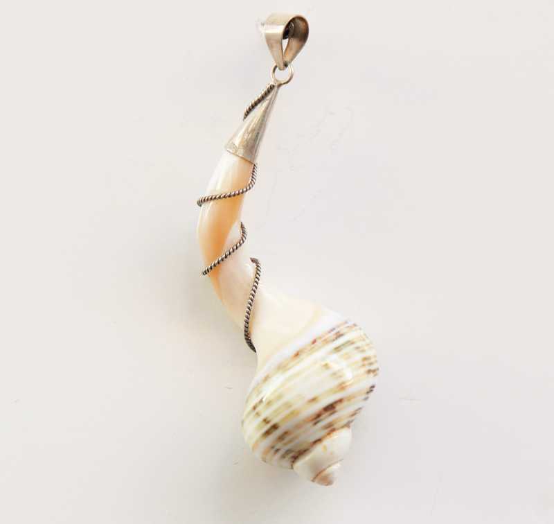 Sea Shell Spiral