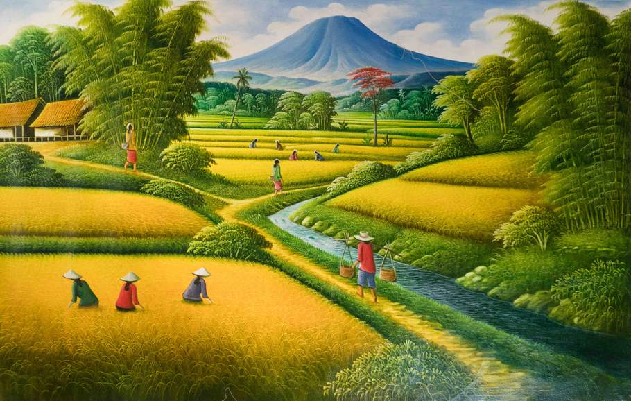 Rice Field Farmers